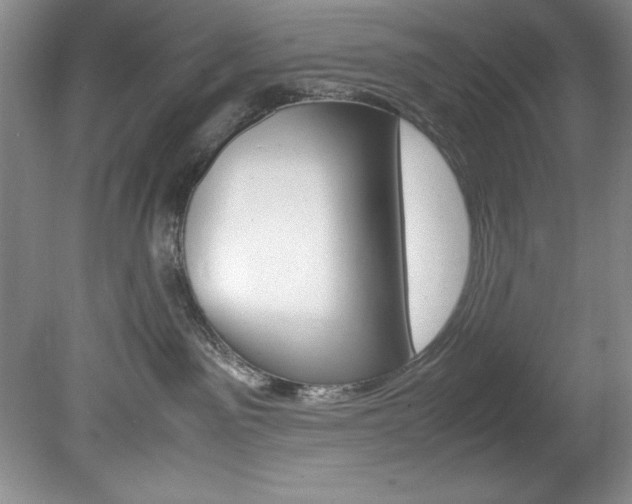X0000078840141200611131007