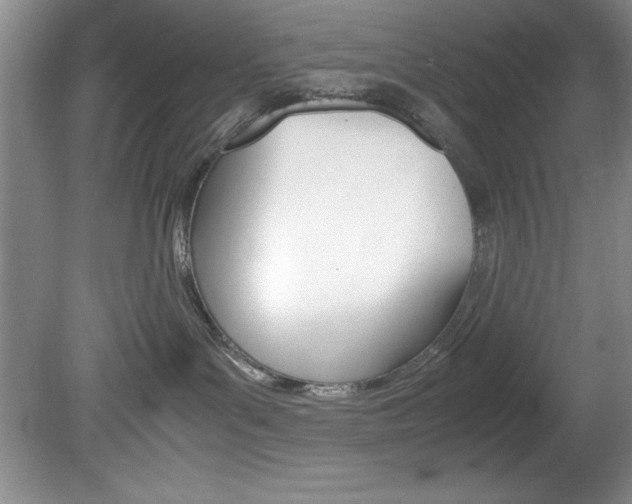 X0000078840143200611131007