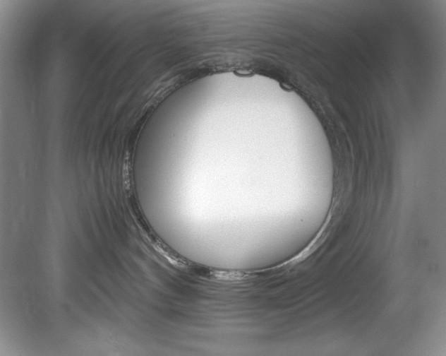 X0000078840144200611131007