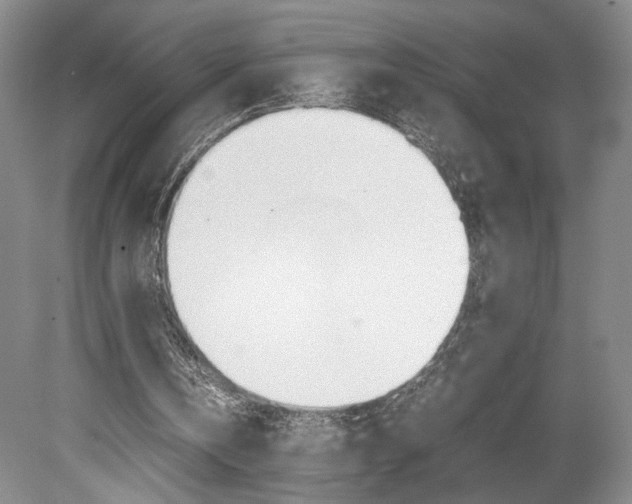X0000078840146200611131006