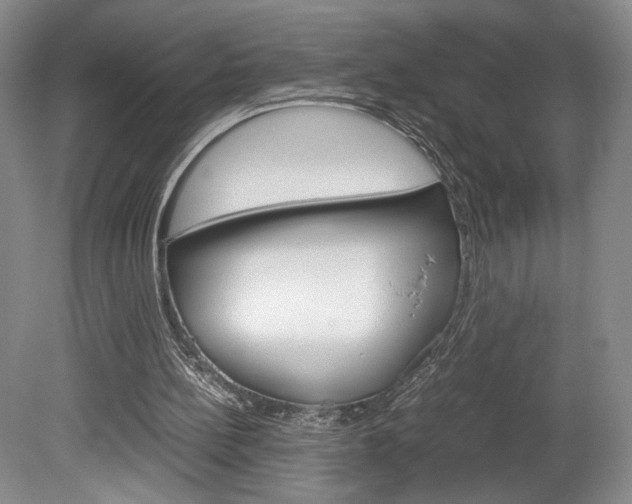X0000078840148200611131006