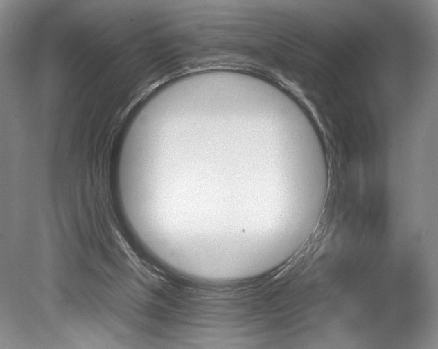 X0000078840154200611131007