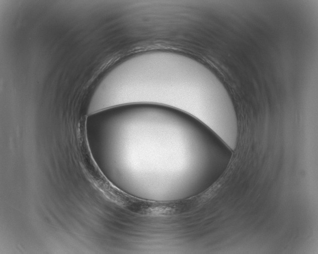 X0000078840158200611131007