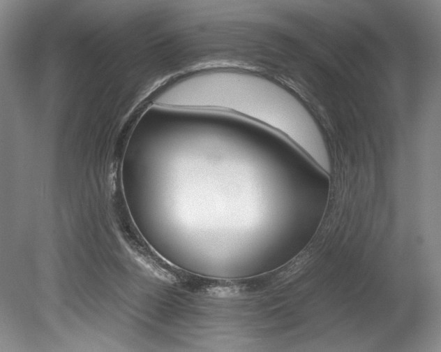 X0000078840160200611131007