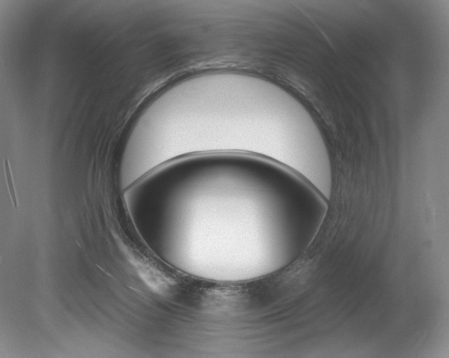 X0000078840164200611131007
