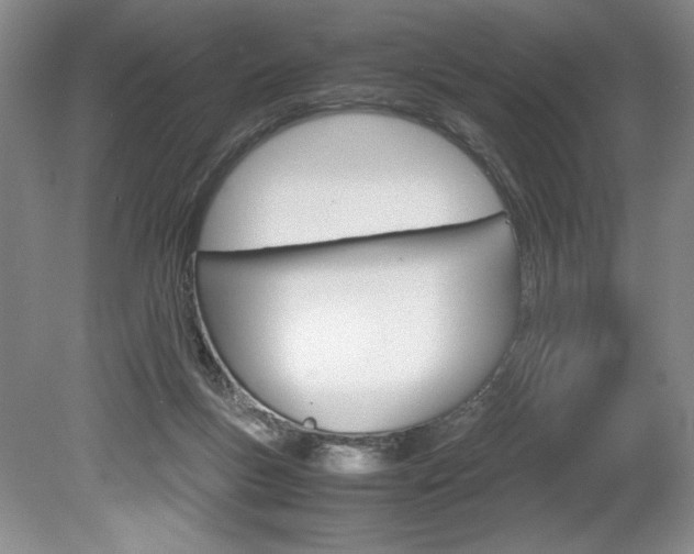 X0000078840167200611131007