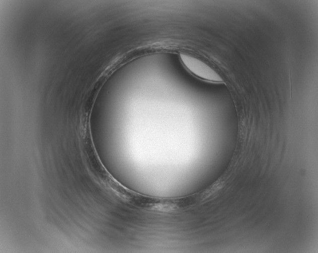 X0000078840168200611131007