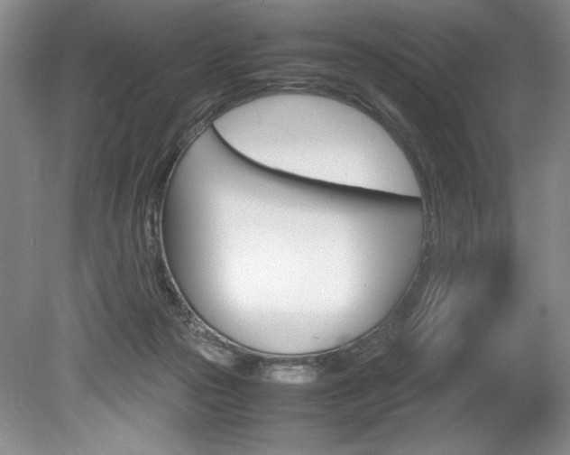 X0000078840169200611131007