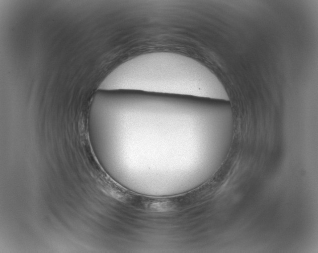 X0000078840173200611131007