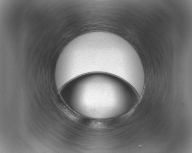 X0000078840174200611131007