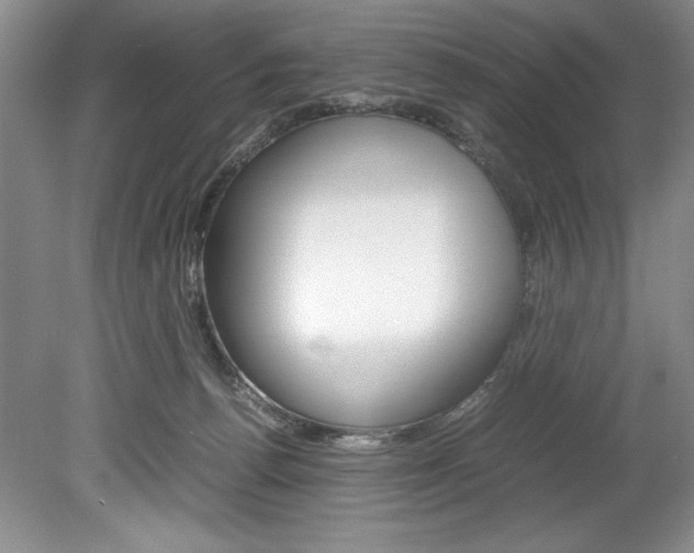 X0000078840176200611131007