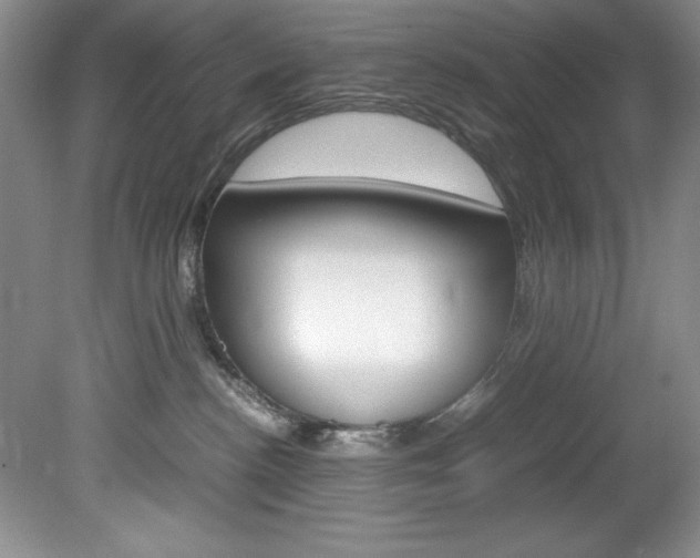 X0000078840188200611131007