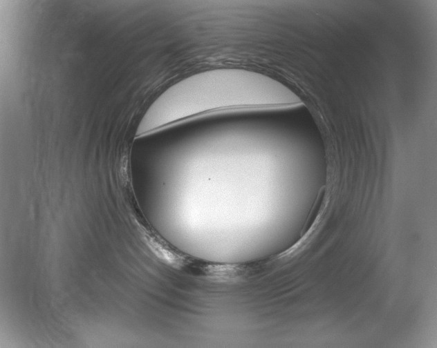 X0000078840192200611131007