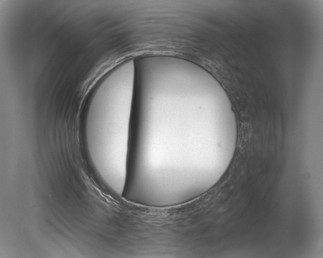 X0000078840194200611131006