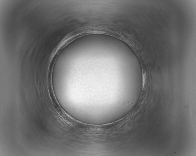 X0000078840195200611131006