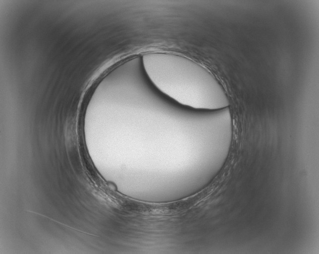 X0000078840196200611131006