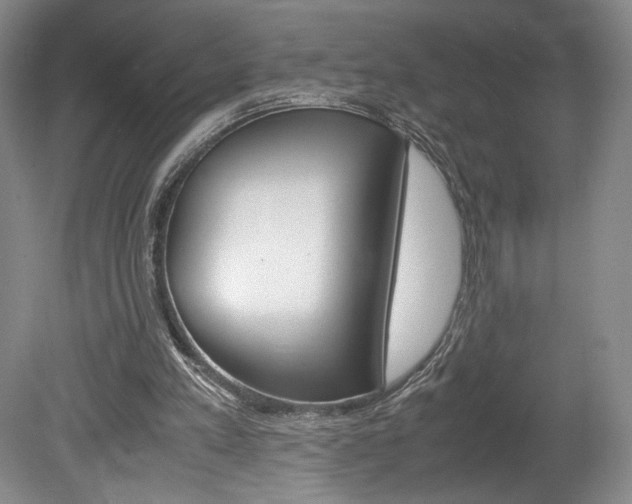 X0000078840197200611131006