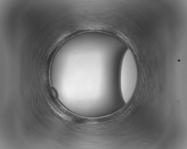 X0000078840203200611131006