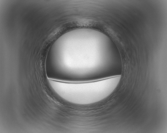 X0000078840211200611131006