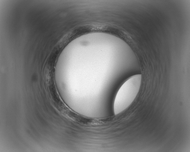 X0000078840215200611131006