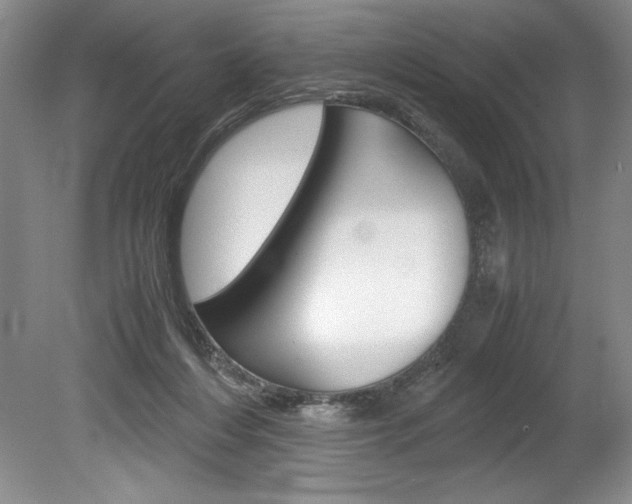 X0000078840216200611131006