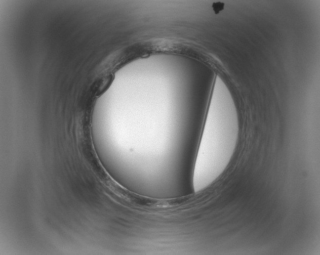 X0000078840217200611131006