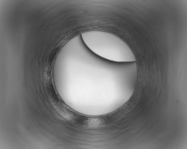 X0000078840218200611131006