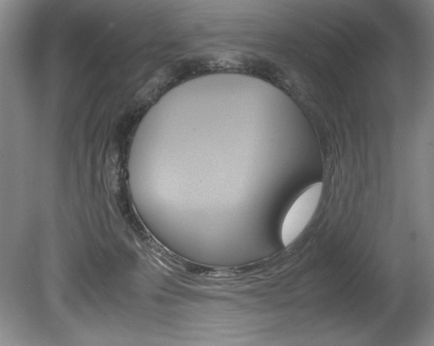 X0000078840223200611131006