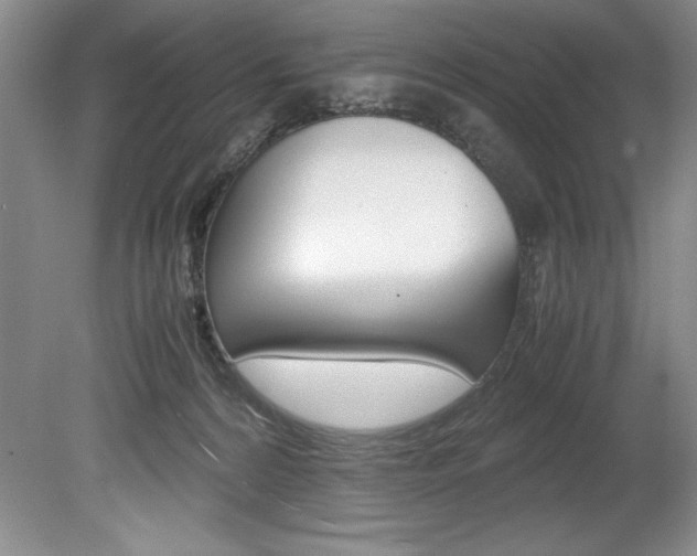 X0000078840224200611131006