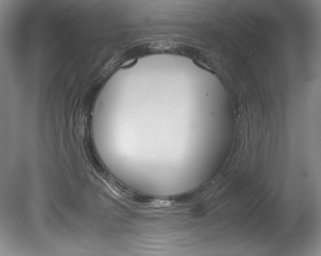 X0000078840227200611131006
