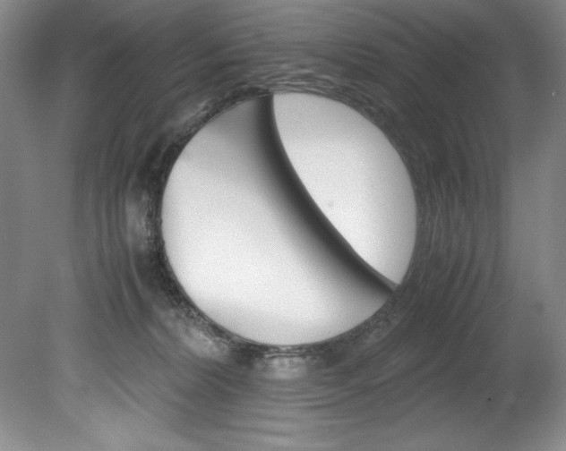 X0000078840228200611131006