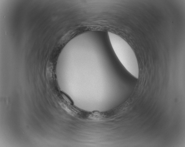 X0000078840231200611131006