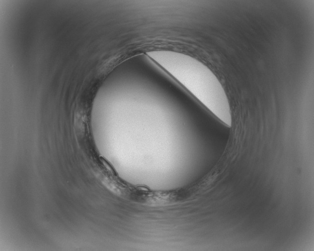 X0000078840235200611131006