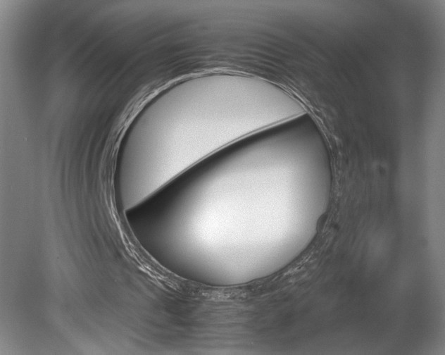 X0000078840241200611131005