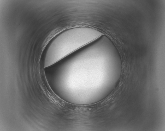 X0000078840242200611131005