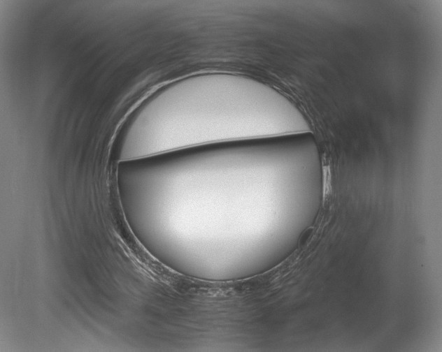 X0000078840243200611131005