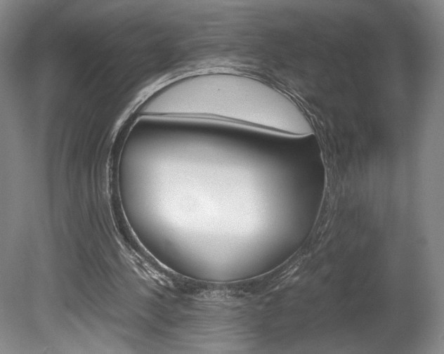 X0000078840244200611131005