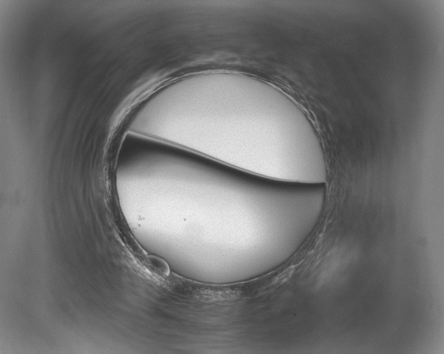 X0000078840245200611131005