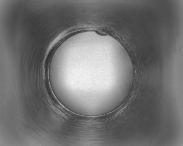 X0000078840246200611131005