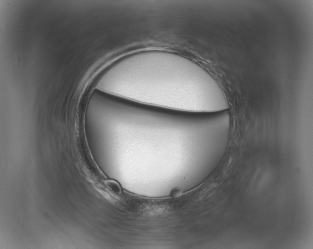 X0000078840247200611131005