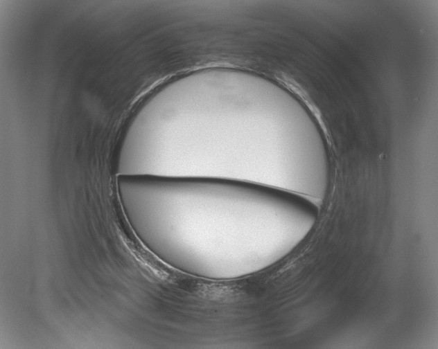 X0000078840249200611131005