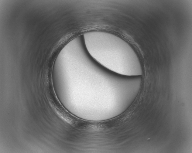 X0000078840250200611131005