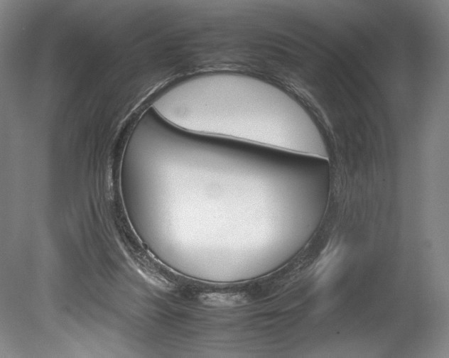 X0000078840251200611131005