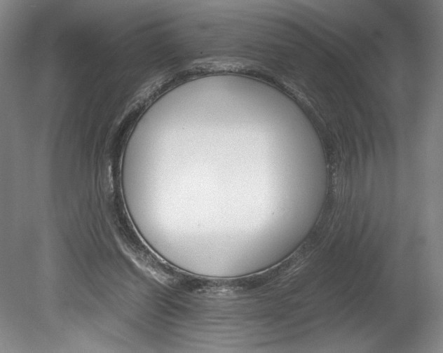 X0000078840254200611131005