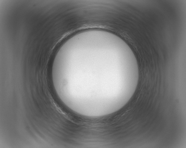 X0000078840256200611131005