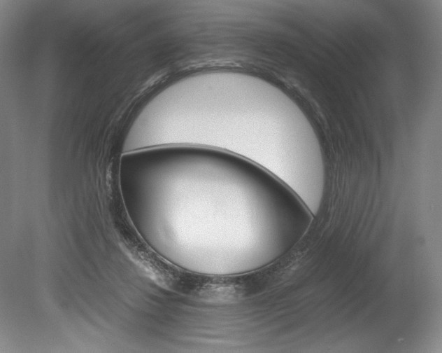 X0000078840260200611131005