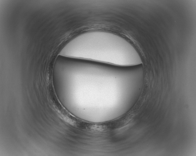 X0000078840261200611131005