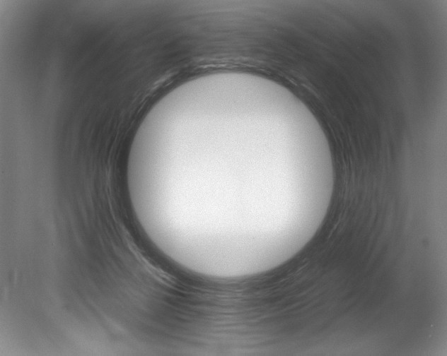X0000078840264200611131005