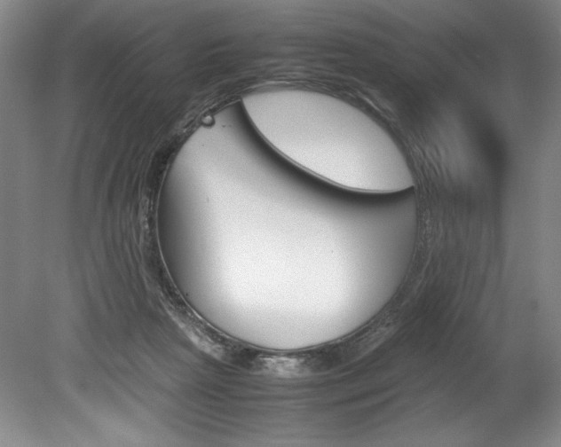 X0000078840265200611131005