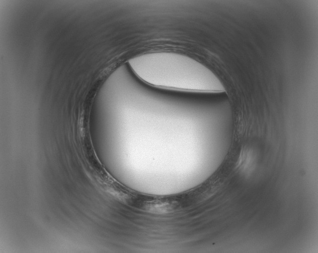 X0000078840267200611131005